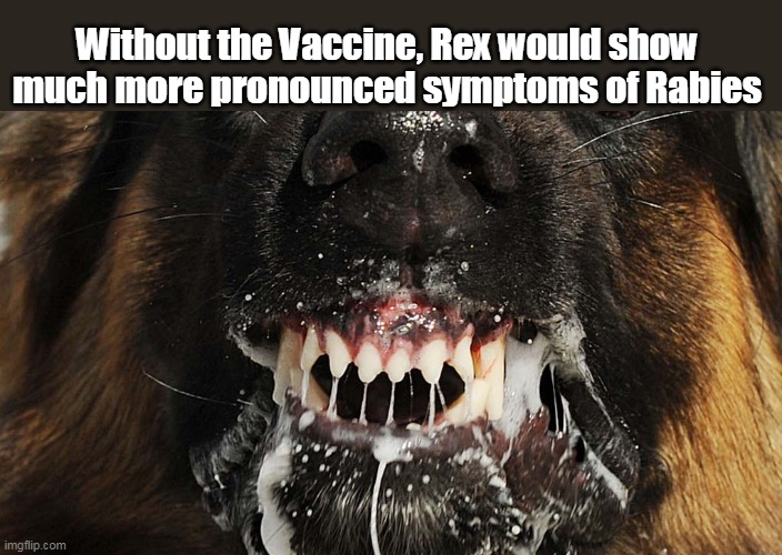 Without the Vaccine, Rex would show much more pronounced symptoms of Rabies | made w/ Imgflip meme maker