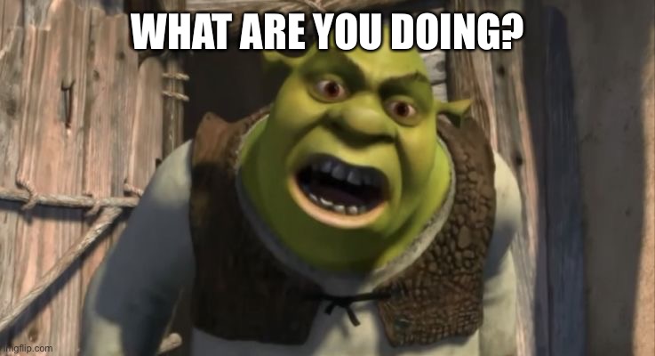 Shrek What are you doing in my swamp? | WHAT ARE YOU DOING? | image tagged in shrek what are you doing in my swamp | made w/ Imgflip meme maker