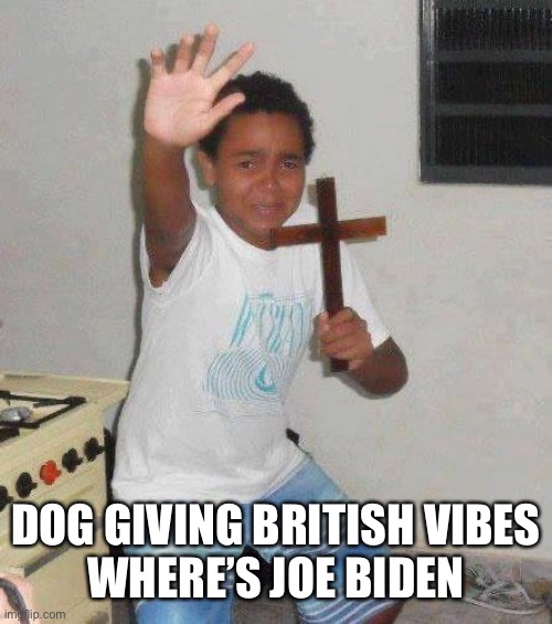 kid with cross | DOG GIVING BRITISH VIBES
WHERE’S JOE BIDEN | image tagged in kid with cross | made w/ Imgflip meme maker
