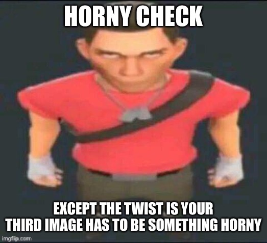 :troll: | HORNY CHECK; EXCEPT THE TWIST IS YOUR THIRD IMAGE HAS TO BE SOMETHING HORNY | image tagged in scout but i saved it so i don t forget | made w/ Imgflip meme maker