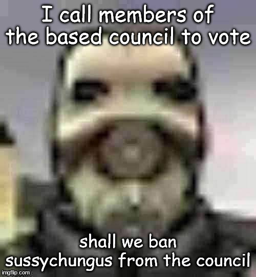 peak content | I call members of the based council to vote; shall we ban sussychungus from the council | image tagged in peak content | made w/ Imgflip meme maker