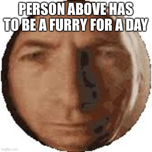 *ptsd intensifies* | PERSON ABOVE HAS TO BE A FURRY FOR A DAY | image tagged in ball goodman | made w/ Imgflip meme maker