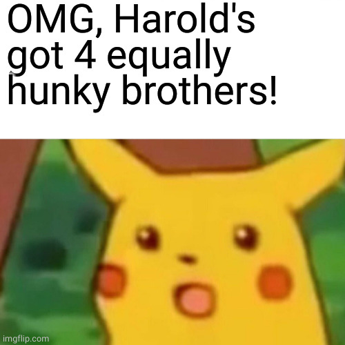 Surprised Pikachu Meme | OMG, Harold's got 4 equally hunky brothers! | image tagged in memes,surprised pikachu | made w/ Imgflip meme maker