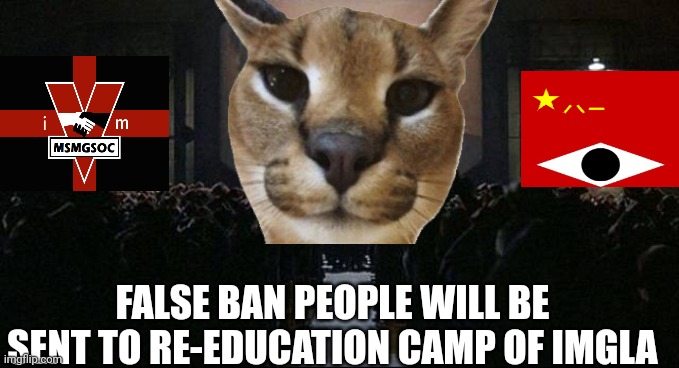 FALSE BAN PEOPLE WILL BE SENT TO RE-EDUCATION CAMP OF IMGLA | made w/ Imgflip meme maker