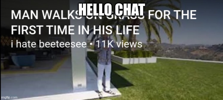 MAN WALKS ON GRASS FOR THE FIRST TIME IN HIS LIFE | HELLO CHAT | image tagged in man walks on grass for the first time in his life | made w/ Imgflip meme maker