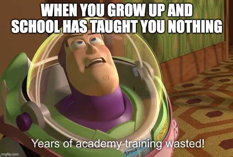 years of academy training wasted |  WHEN YOU GROW UP AND SCHOOL HAS TAUGHT YOU NOTHING | image tagged in years of academy training wasted | made w/ Imgflip meme maker