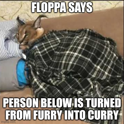 Floppa sleeping | FLOPPA SAYS; PERSON BELOW IS TURNED FROM FURRY INTO CURRY | image tagged in floppa sleeping | made w/ Imgflip meme maker