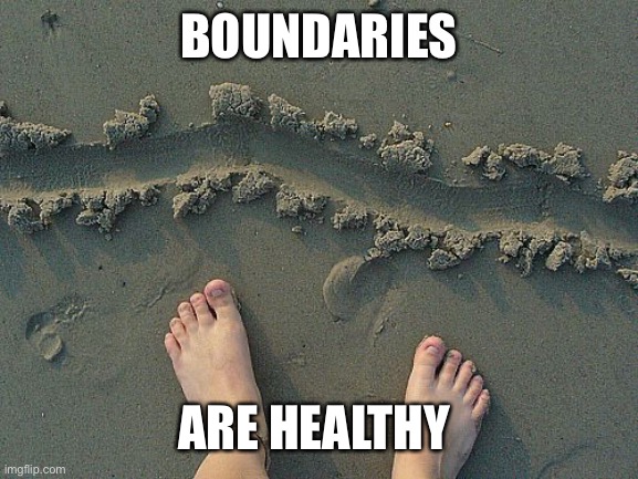 There are boundaries  | BOUNDARIES ARE HEALTHY | image tagged in there are boundaries | made w/ Imgflip meme maker