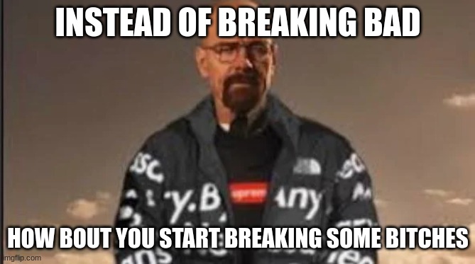 Why did I make this. | INSTEAD OF BREAKING BAD; HOW BOUT YOU START BREAKING SOME BITCHES | made w/ Imgflip meme maker