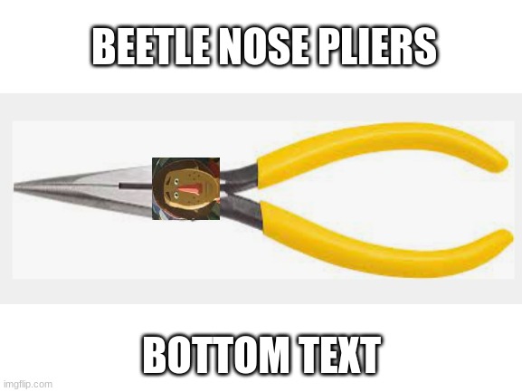 wow! a wild beetle has came to sell arrows! | BEETLE NOSE PLIERS; BOTTOM TEXT | image tagged in botw,the legend of zelda breath of the wild,memes,funny,lol,beetle | made w/ Imgflip meme maker
