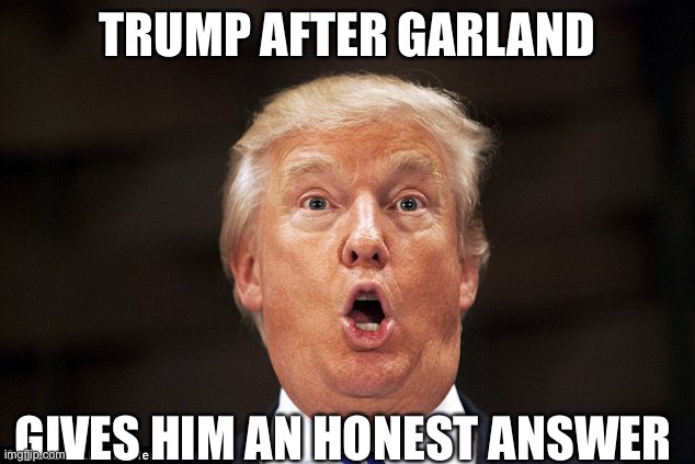 Trump stupid face | TRUMP AFTER GARLAND GIVES HIM AN HONEST ANSWER | image tagged in trump stupid face | made w/ Imgflip meme maker
