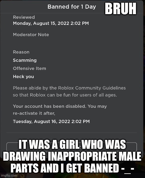 God damit | BRUH; IT WAS A GIRL WHO WAS DRAWING INAPPROPRIATE MALE PARTS AND I GET BANNED -_- | image tagged in bruh | made w/ Imgflip meme maker
