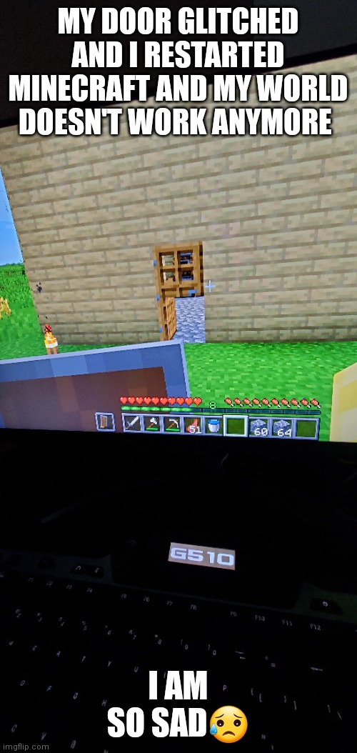 I am sad | MY DOOR GLITCHED AND I RESTARTED MINECRAFT AND MY WORLD DOESN'T WORK ANYMORE; I AM SO SAD😥 | image tagged in minecraft,sad | made w/ Imgflip meme maker