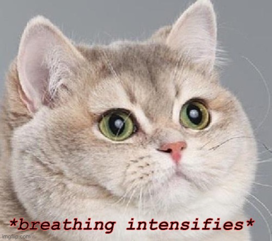 breathing intensifies | *breathing intensifies* | image tagged in breathing intensifies | made w/ Imgflip meme maker