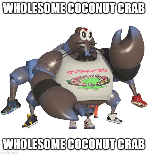 Wholesome coconut crab | WHOLESOME COCONUT CRAB; WHOLESOME COCONUT CRAB | image tagged in wholesome coconut crab | made w/ Imgflip meme maker