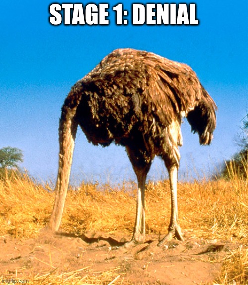 Denial Be Like | STAGE 1: DENIAL | image tagged in denial be like | made w/ Imgflip meme maker