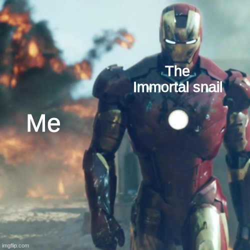 (He Stole a Advance Suite of Armor from the United States of government) | The Immortal snail; Me | image tagged in iron man explosion | made w/ Imgflip meme maker