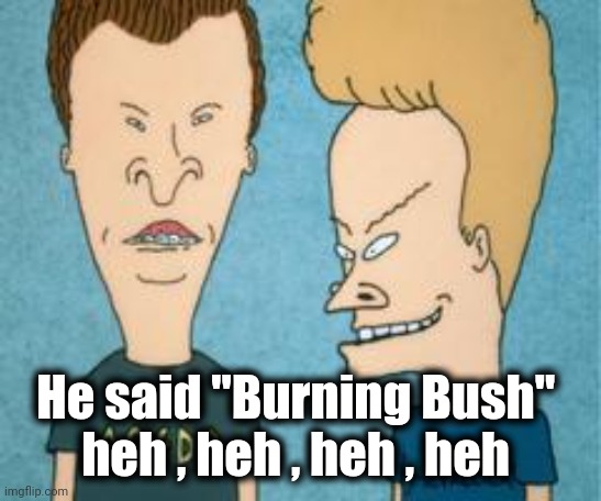 beavis and butthead generic | He said "Burning Bush" 
heh , heh , heh , heh | image tagged in beavis and butthead generic | made w/ Imgflip meme maker