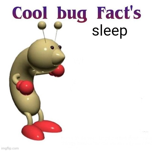 Cool Bug Facts | sleep | image tagged in cool bug facts | made w/ Imgflip meme maker