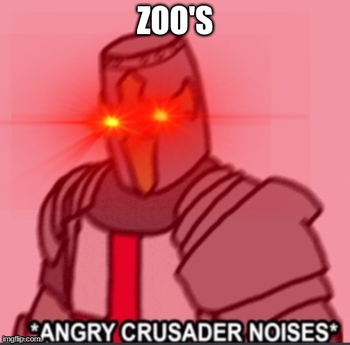A N G R Y crusader | ZOO'S | image tagged in a n g r y crusader | made w/ Imgflip meme maker