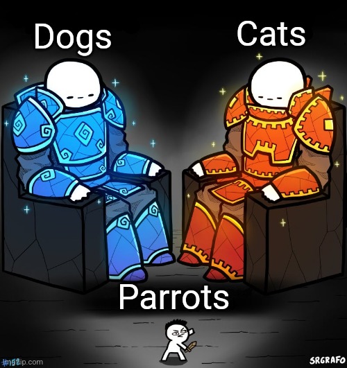 2 gods and a peasant | Cats; Dogs; Parrots | image tagged in 2 gods and a peasant,minecraft,video games,funny,memes,funny memes | made w/ Imgflip meme maker
