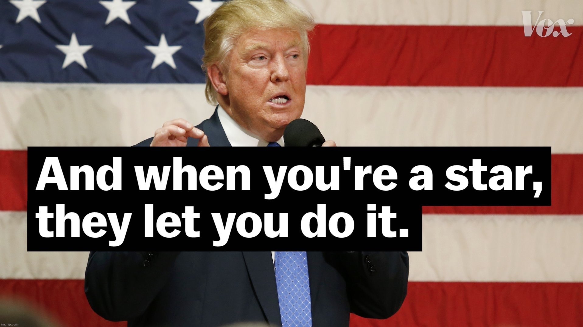 Donald Trump And when you’re a star they let you do it | image tagged in donald trump and when you re a star they let you do it | made w/ Imgflip meme maker