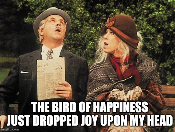 Bird of Happiness | THE BIRD OF HAPPINESS JUST DROPPED JOY UPON MY HEAD | image tagged in bird,joy | made w/ Imgflip meme maker