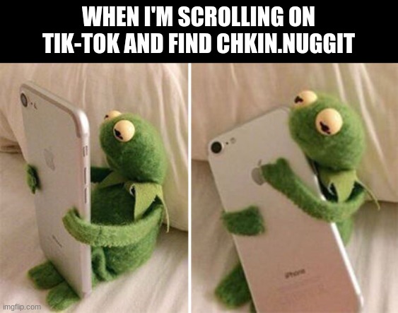 L | WHEN I'M SCROLLING ON TIK-TOK AND FIND CHKIN.NUGGIT | image tagged in kermit hugging phone | made w/ Imgflip meme maker