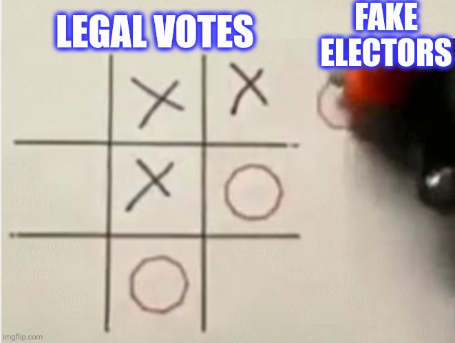 FAKE ELECTORS LEGAL VOTES | made w/ Imgflip meme maker