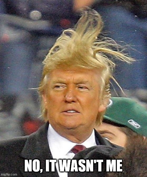 Donald Trumph hair | NO, IT WASN'T ME | image tagged in donald trumph hair | made w/ Imgflip meme maker