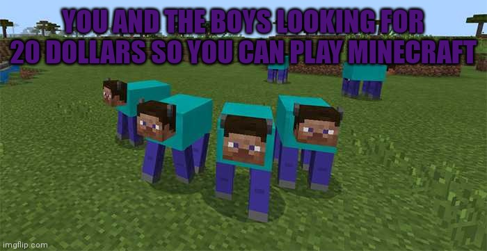 me and the boys | YOU AND THE BOYS LOOKING FOR 20 DOLLARS SO YOU CAN PLAY MINECRAFT | image tagged in me and the boys | made w/ Imgflip meme maker