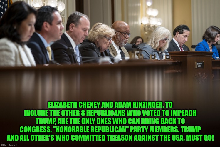 Jan 6th Commitee | ELIZABETH CHENEY AND ADAM KINZINGER, TO INCLUDE THE OTHER 8 REPUBLICANS WHO VOTED TO IMPEACH TRUMP, ARE THE ONLY ONES WHO CAN BRING BACK TO CONGRESS, "HONORABLE REPUBLICAN" PARTY MEMBERS. TRUMP AND ALL OTHER'S WHO COMMITTED TREASON AGAINST THE USA, MUST GO! | image tagged in jan 6th commitee | made w/ Imgflip meme maker