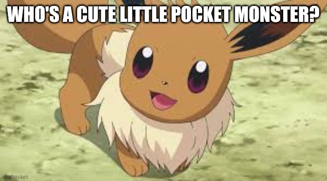 Eevee | WHO'S A CUTE LITTLE POCKET MONSTER? | image tagged in eevee | made w/ Imgflip meme maker