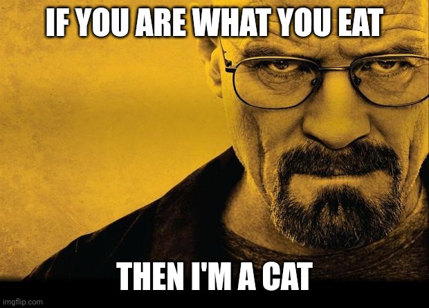 Breaking bad | IF YOU ARE WHAT YOU EAT; THEN I'M A CAT | image tagged in breaking bad | made w/ Imgflip meme maker