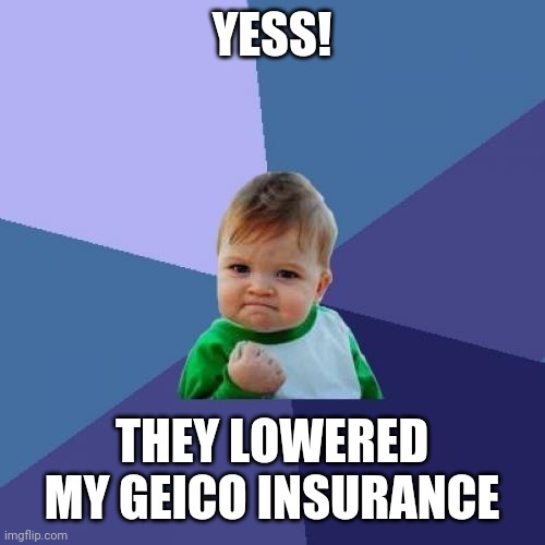 Yess! They Lowered My Geico insurance | YESS! THEY LOWERED MY GEICO INSURANCE | image tagged in memes,success kid | made w/ Imgflip meme maker