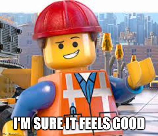 Lego Movie Emmet | I'M SURE IT FEELS GOOD | image tagged in lego movie emmet | made w/ Imgflip meme maker