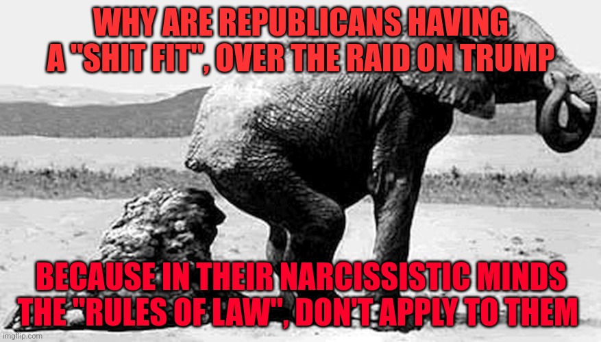 GOP Republican Trump Fox News | WHY ARE REPUBLICANS HAVING A "SHIT FIT", OVER THE RAID ON TRUMP; BECAUSE IN THEIR NARCISSISTIC MINDS THE "RULES OF LAW", DON'T APPLY TO THEM | image tagged in gop republican trump fox news | made w/ Imgflip meme maker