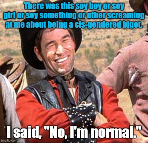 Looking forward to the day when normal is the new normal. | There was this soy boy or soy girl or soy something or other screaming at me about being a cis-gendered bigot. I said, "No, I'm normal." | image tagged in cowboy | made w/ Imgflip meme maker