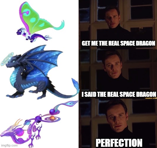 dragonvale space dragons | GET ME THE REAL SPACE DRAGON; I SAID THE REAL SPACE DRAGON; PERFECTION | image tagged in perfection,dragonvale | made w/ Imgflip meme maker