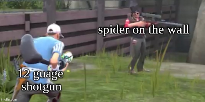Scout jumping sniper | spider on the wall; 12 guage 
shotgun | image tagged in scout jumping sniper | made w/ Imgflip meme maker