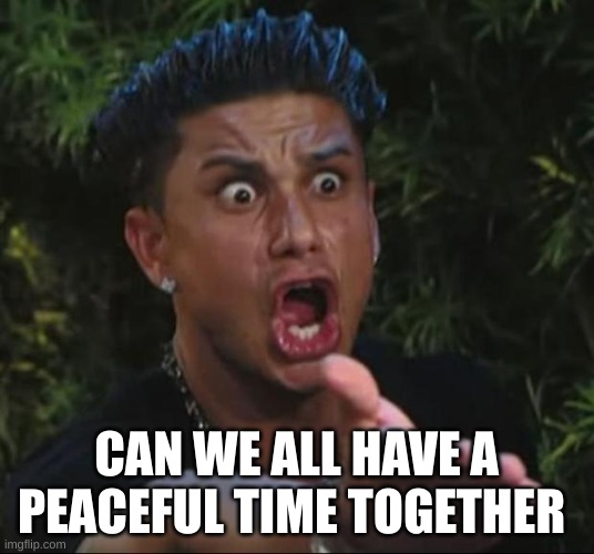 bru just stop sammy your making it even worse  | CAN WE ALL HAVE A PEACEFUL TIME TOGETHER | image tagged in memes,dj pauly d | made w/ Imgflip meme maker