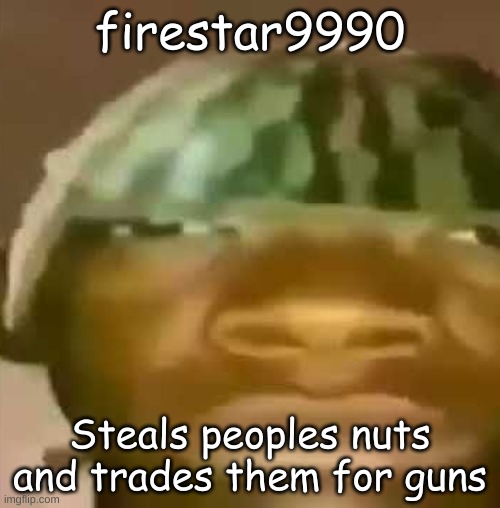 Crap Post 53: firestar9990 | firestar9990; Steals peoples nuts and trades them for guns | made w/ Imgflip meme maker