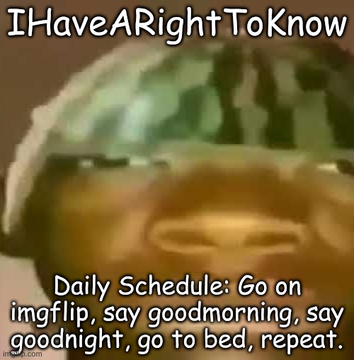 Crap Post 57: IHaveARightToKnow | IHaveARightToKnow; Daily Schedule: Go on imgflip, say goodmorning, say goodnight, go to bed, repeat. | image tagged in shitpost | made w/ Imgflip meme maker