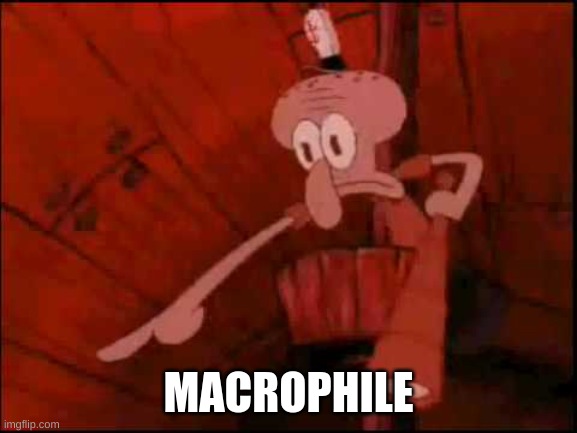 Squidward pointing | MACROPHILE | image tagged in squidward pointing | made w/ Imgflip meme maker