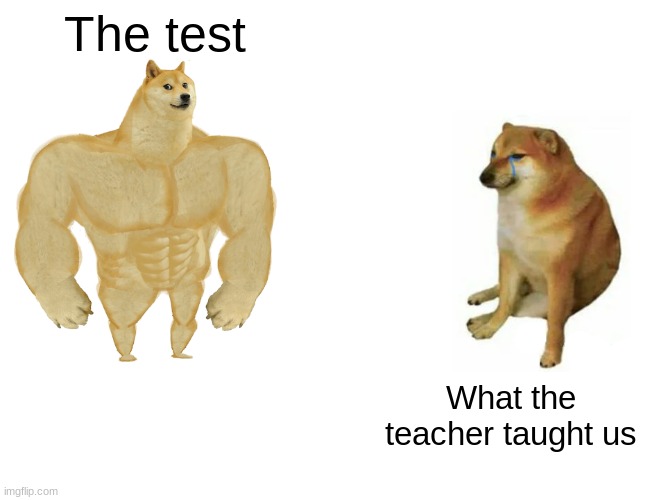 Buff Doge vs. Cheems | The test; What the teacher taught us | image tagged in memes,buff doge vs cheems | made w/ Imgflip meme maker