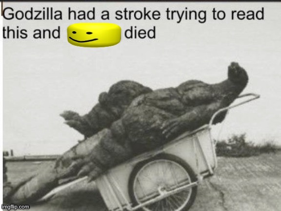 Godzilla had a stroke reading this and died | image tagged in godzilla had a stroke reading this and died | made w/ Imgflip meme maker