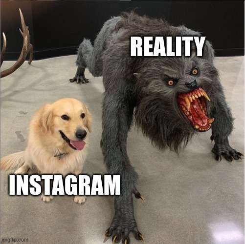 dog vs werewolf | REALITY; INSTAGRAM | image tagged in dog vs werewolf,funny,meme | made w/ Imgflip meme maker