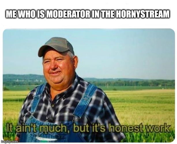 Honest work | ME WHO IS MODERATOR IN THE HORNYSTREAM | image tagged in honest work | made w/ Imgflip meme maker
