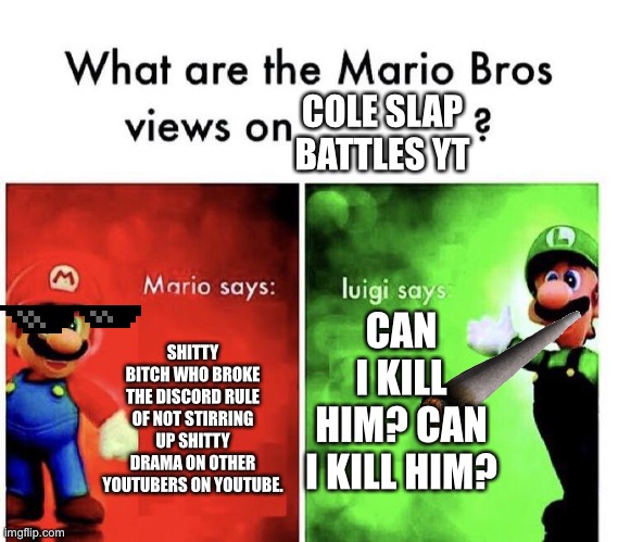 Slap battles community’s opinion |  COLE SLAP BATTLES YT; CAN I KILL HIM? CAN I KILL HIM? SHITTY BITCH WHO BROKE THE DISCORD RULE OF NOT STIRRING UP SHITTY DRAMA ON OTHER YOUTUBERS ON YOUTUBE. | image tagged in mario bros views,the boiler room of hell,gaming,true story bro | made w/ Imgflip meme maker