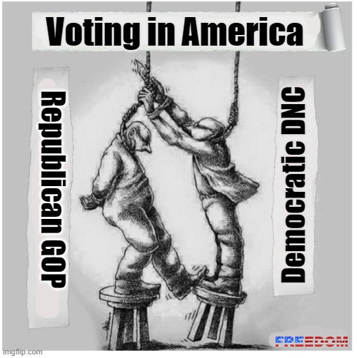 Voting in America today | Voting in America; Democratic DNC; Republican GOP | image tagged in republican,democrat,voting,freedom,politics,politicstoo | made w/ Imgflip meme maker